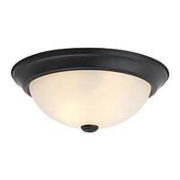 CEIL LT 2LT FLUSH MT MBLK 13IN