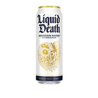 MOUNTAIN SPRING WATER 19.2OZ  