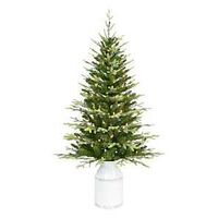 ASPEN FIR MILK CAN TREE 4.5FT 