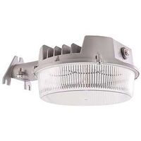 LIGHT AREA LED BSC 4000LM 250W