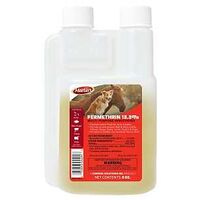 INSECT INDR/OUTDR CONC 8OZ    