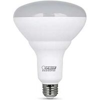 BULB LED BR40 DIMMABLE 5000K  