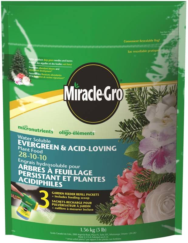 Miracle Gro 110090 Acid Loving Evergreen Plant Food 1 36 Kg Bag