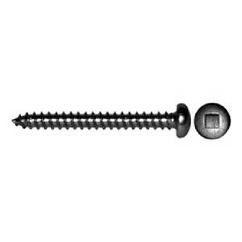Reliable PKAZ101MR Screw, #10 Thread, 1 in L, Pan Head, Square Drive, Self-Tapping, Type A Point, Steel, Zinc