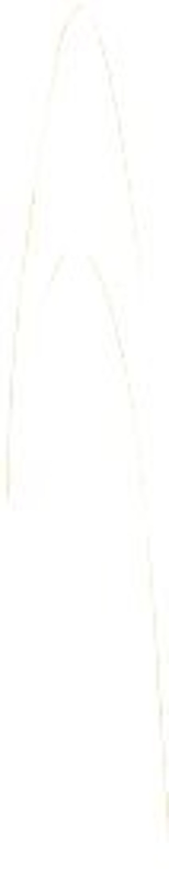 Starfrit 093898006NEW1 Bread Knife, 8 in L Blade, High-Carbon Stainless Steel Blade, White/Yellow Handle