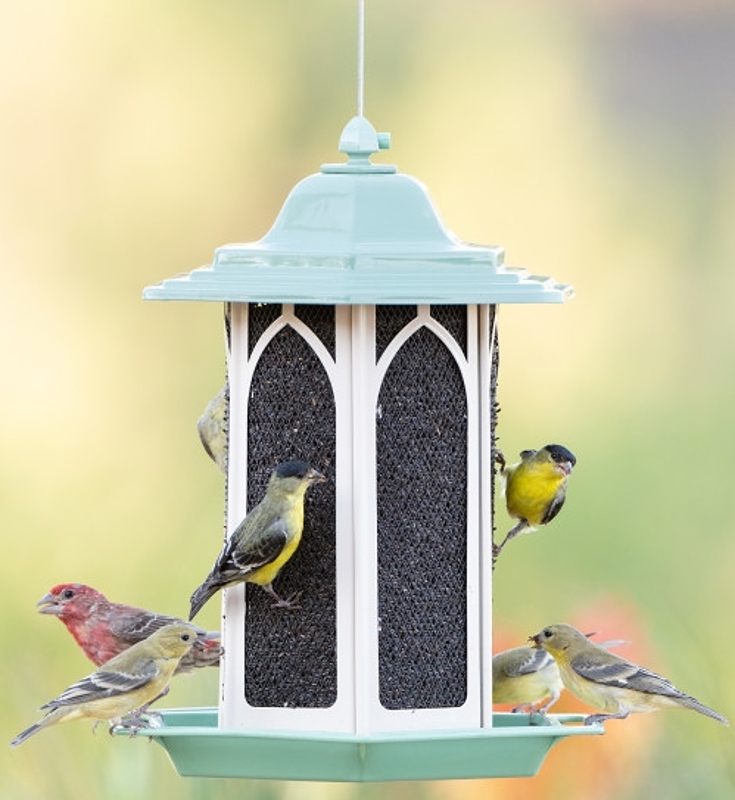 Perky-Pet GAZ01 Bird Feeder, Gazebo, 3.5 lb, Mixed Seed, Metal/Plastic, Pistachio Green, Hanging Mounting