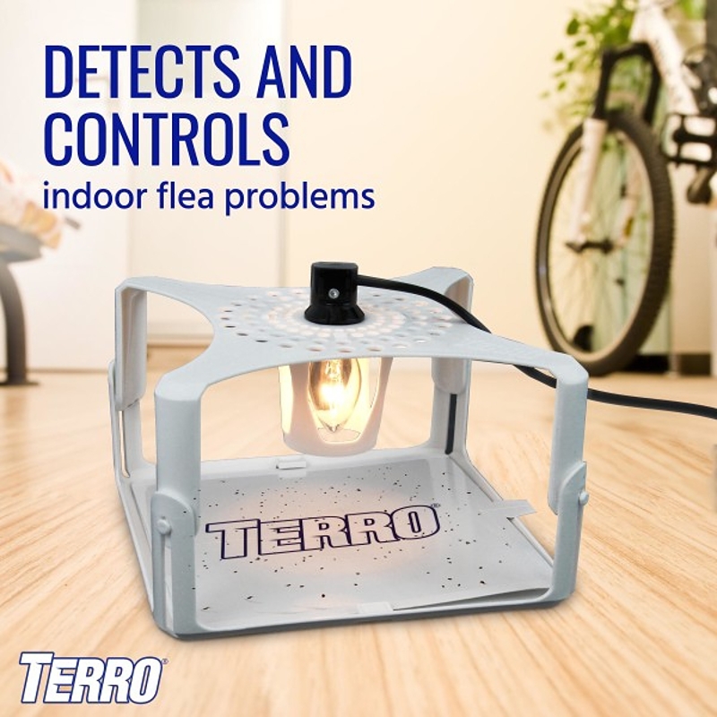 TERRO T231 Flea Trap Refill Glue Board