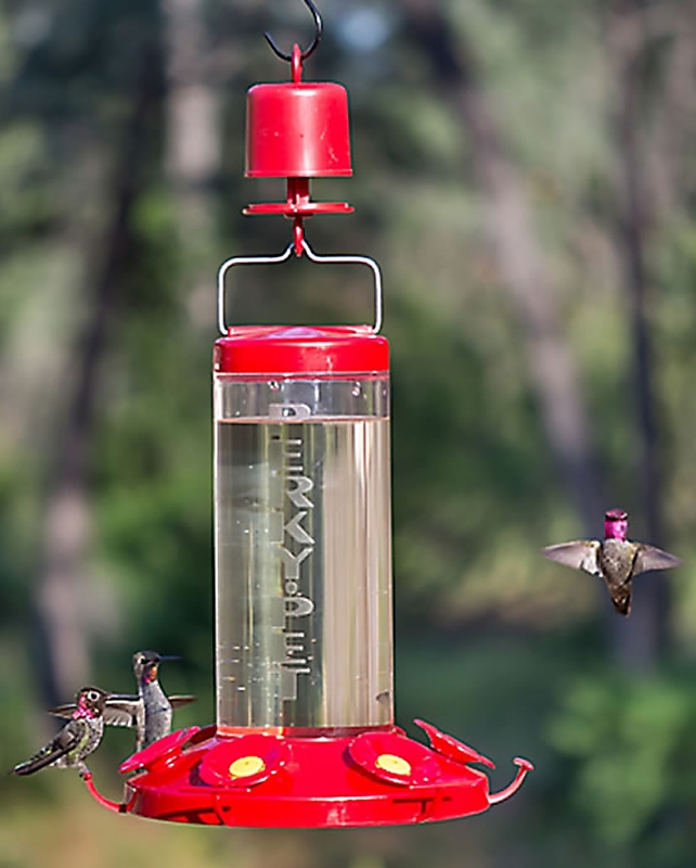 Perky-Pet 245L Ant Guard, Red, For: Hummingbird Feeder