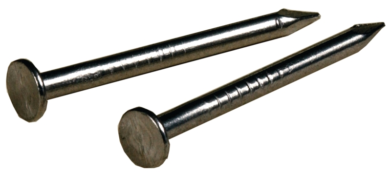 Hillman 122531 Wire Nail, 7/8 in L, Steel, Stainless Steel, Flat Head, Smooth Shank, Silver, 2 oz