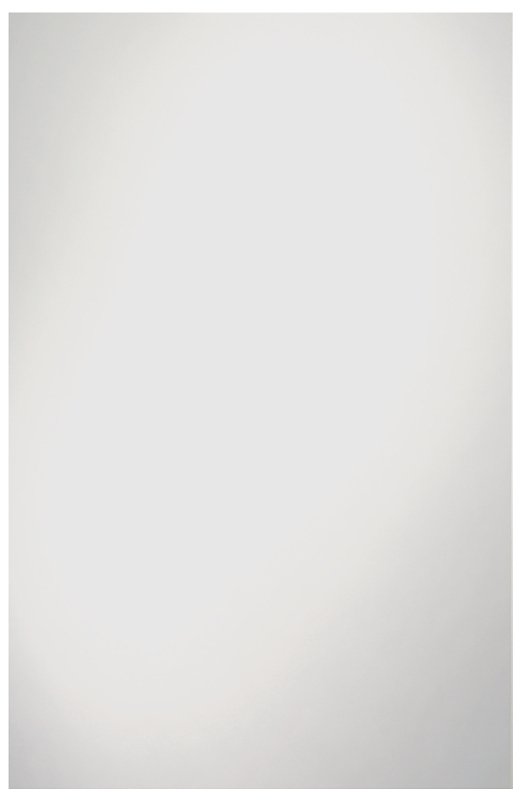 RENIN 201180 Somerset Frameless Mirror, 30 in L, 24 in W, Rectangular, Clear Frame