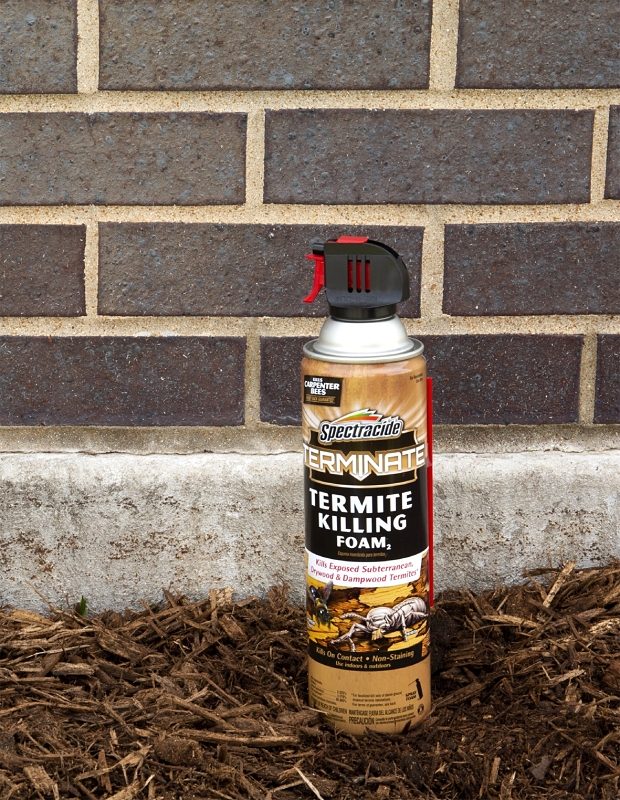 Spectracide 53370 Termite Killing Foam, Liquid, Spray Application, 16 oz Can