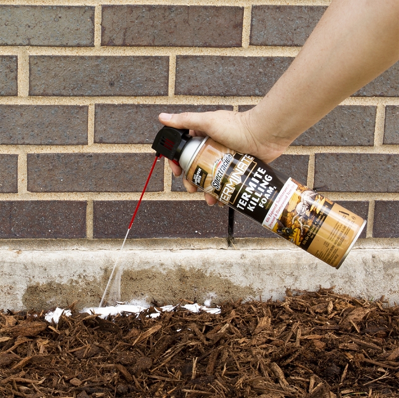 Spectracide 53370 Termite Killing Foam, Liquid, Spray Application, 16 oz Can
