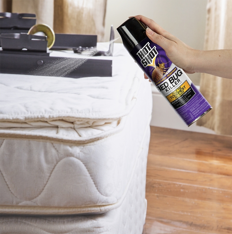 Hot Shot HG-96728 Bed Bug Killer, Liquid, Spray Application, Indoor, 17.5 oz Aerosol Can, Sweet
