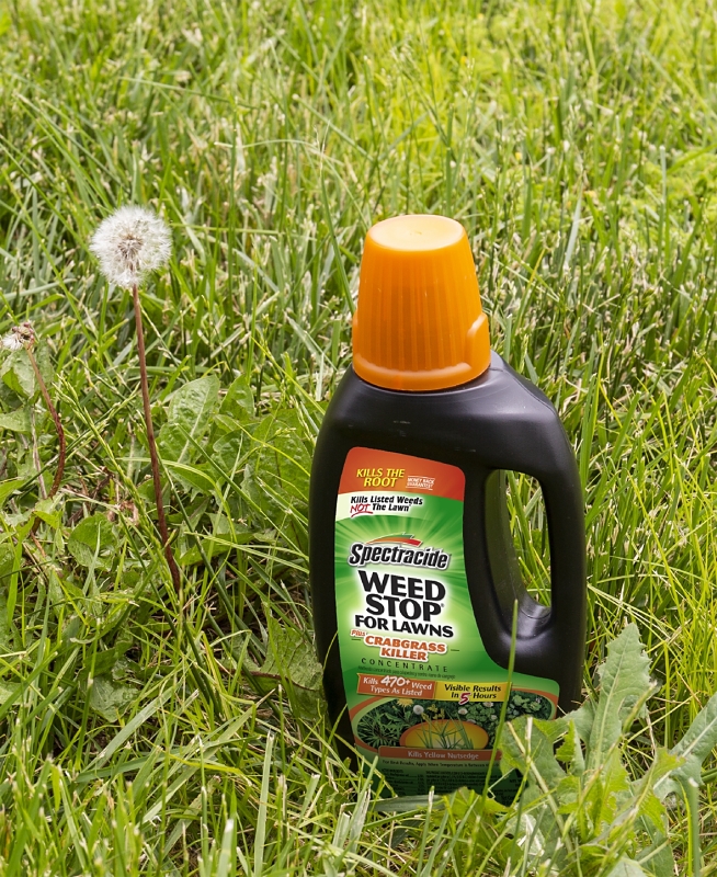 Spectracide HG-96393 Weed Stop Crabgrass Killer, Liquid, Brown, 32 fl-oz