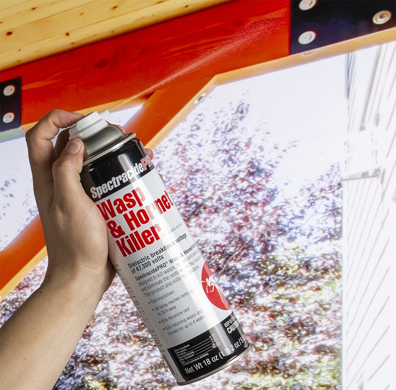 Spectracide HG-30110 Wasp and Hornet Killer, Liquid, Spray Application, 18 oz Aerosol Can