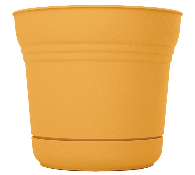 Bloem SP1423 Planter with Saucer, 12.8 in H, 14-1/2 in W, 14-1/2 in D, Round, Classic Textured Design, Plastic, Matte