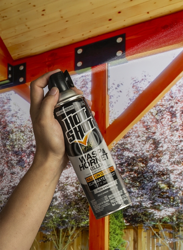 Hot Shot HG-13415 Wasp and Hornet Killer, Pressurized Liquid, Spray Application, Outdoor, 14 oz, Aerosol Can