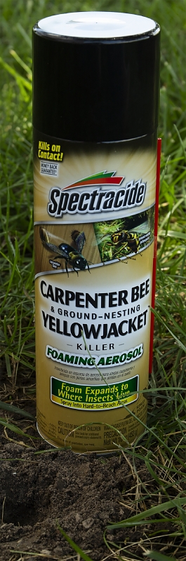 Spectracide 53371 Killer Foam, Liquid, Spray Application, 16 oz