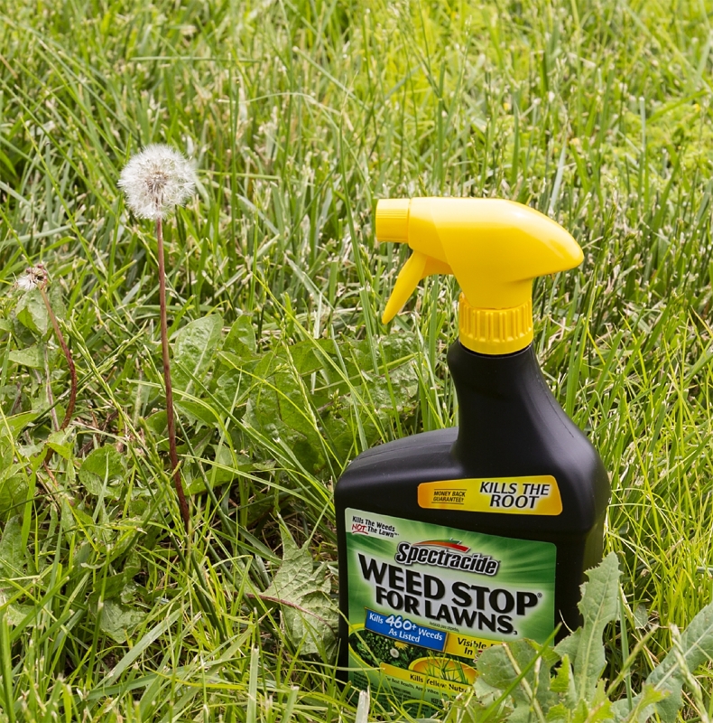 Spectracide Weed Stop HG-96542 Weed Killer, Liquid, Spray Application, 32 fl-oz