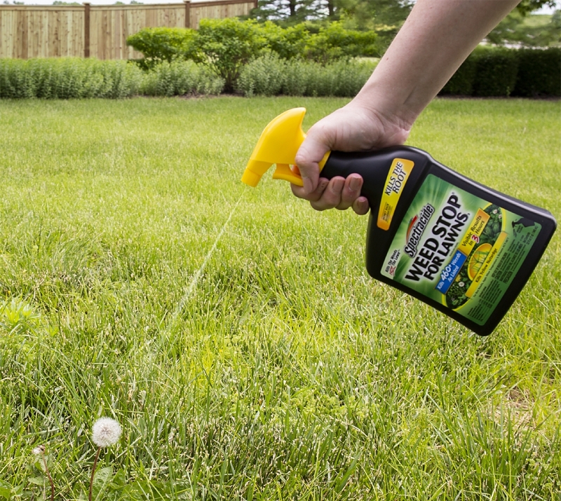 Spectracide Weed Stop HG-96542 Weed Killer, Liquid, Spray Application, 32 fl-oz