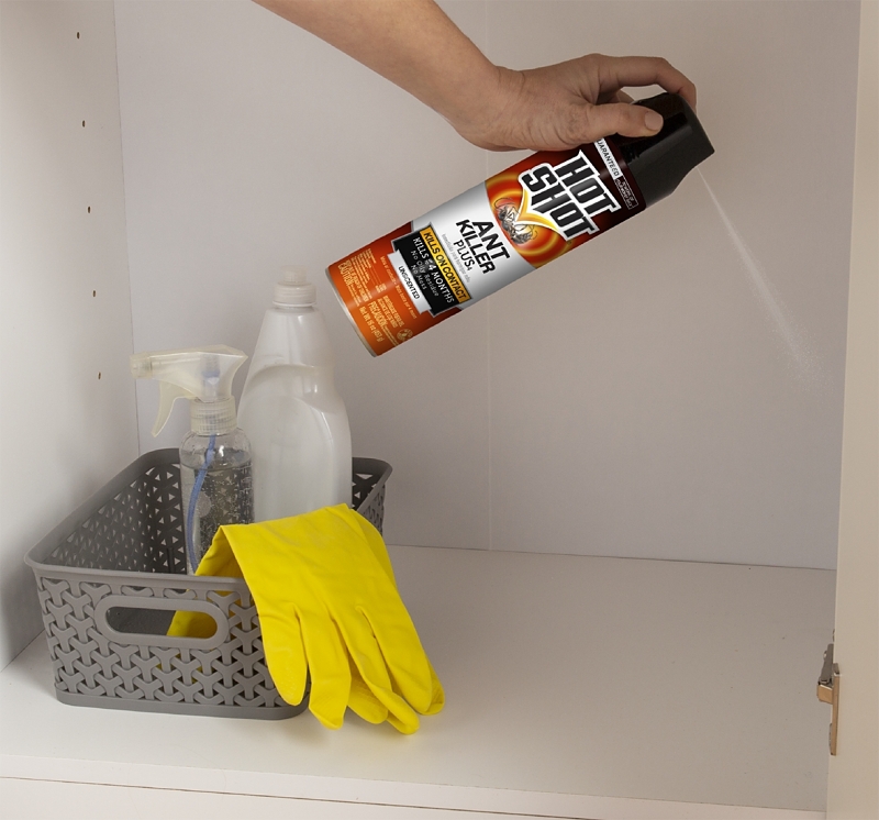 Hot Shot 4480-9 Ant Killer Plus, Liquid, Spray Application, 16 oz, Aerosol Can
