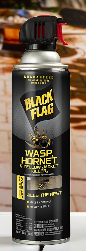 Black Flag HG-11123 Wasp, Liquid, Spray Application, 14 oz Aerosol Can