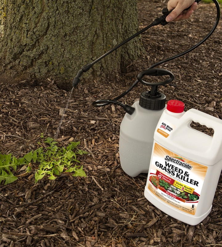 Spectracide HG-96620 Concentrated Weed and Grass Killer, Liquid, Spray Application, 1 gal