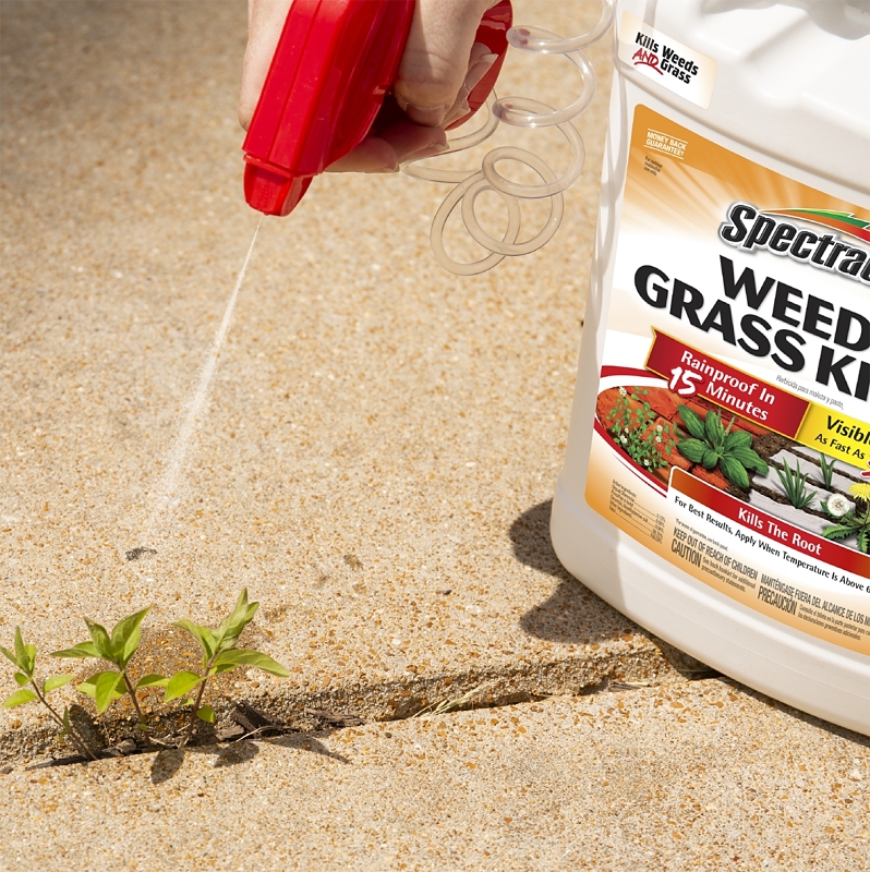 Spectracide HG-96017 Weed and Grass Killer, Liquid, Amber, 1 gal Can, Mild Aromatic