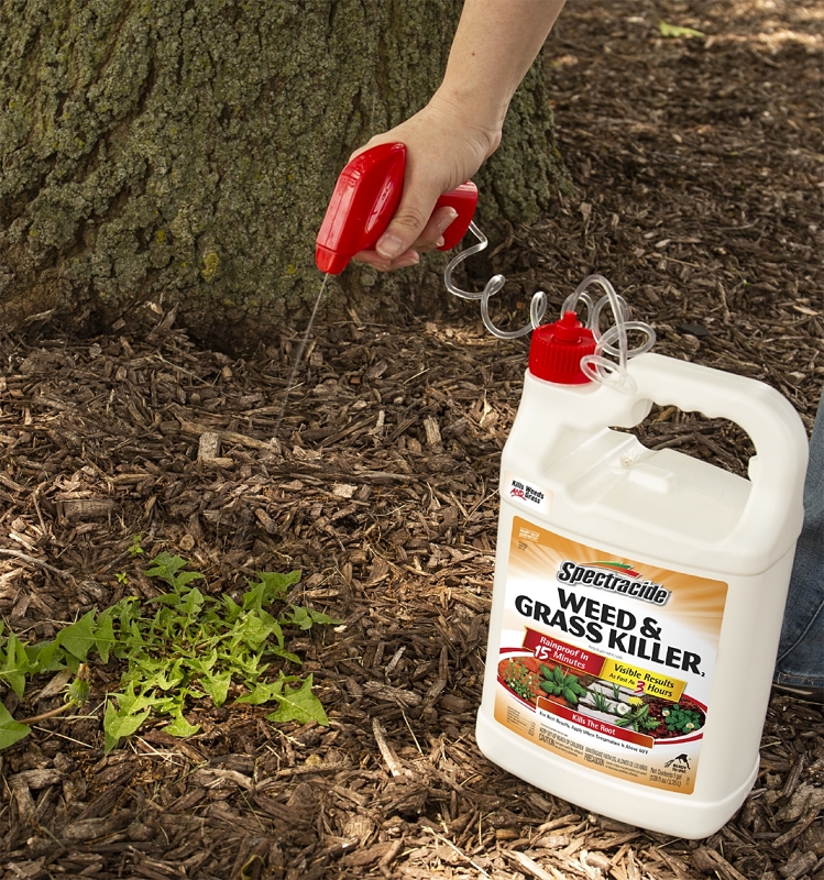 Spectracide HG-96017 Weed and Grass Killer, Liquid, Amber, 1 gal Can, Mild Aromatic