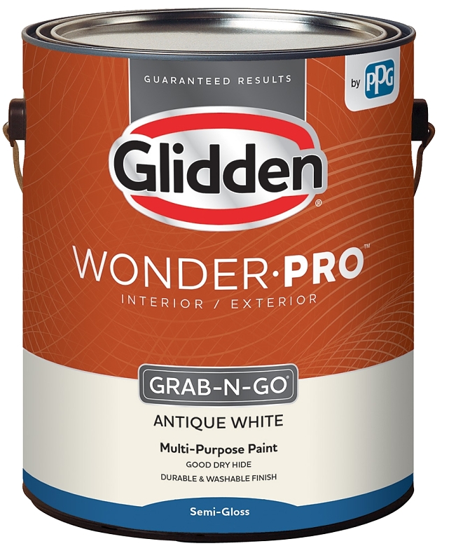 wonder pro paint