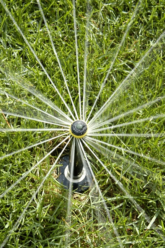 image 4 of 5