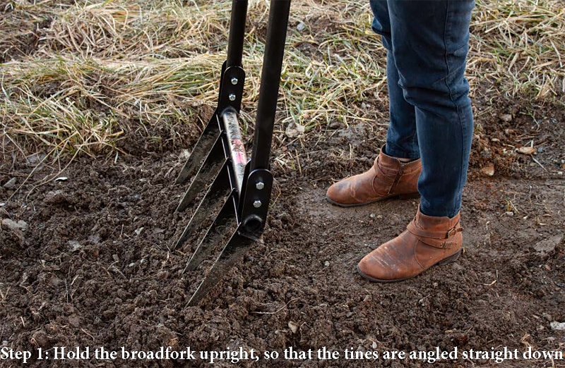 BULLY Tools 92627 Broadfork, 20 in W Tine, 11 in L Tines, Fixed Tine, 5-Tine, Steel Tine, Steel