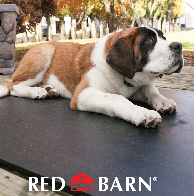 Red Barn 1202220 Stall Mat, Rubber