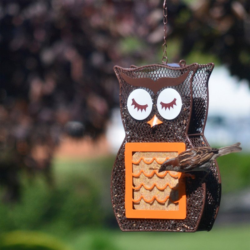 Heath 21703 Suet and Seed Bird Feeder, Whimsical Owl, Brown/Orange
