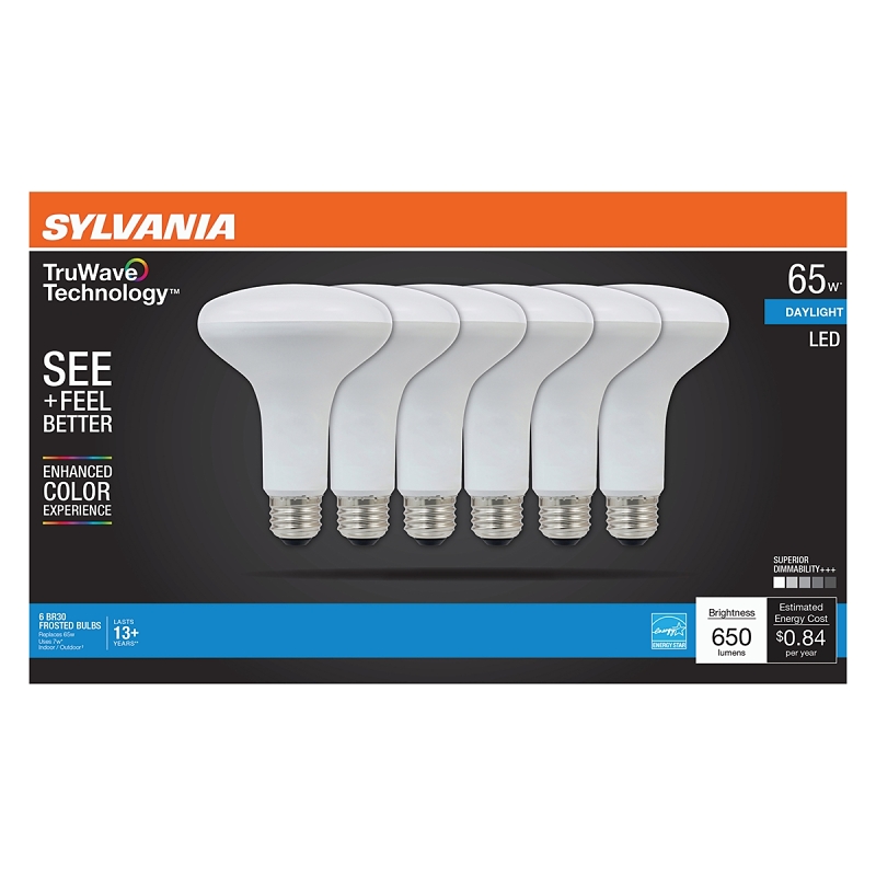 BULB LED BR30 DAYLIGHT 65W