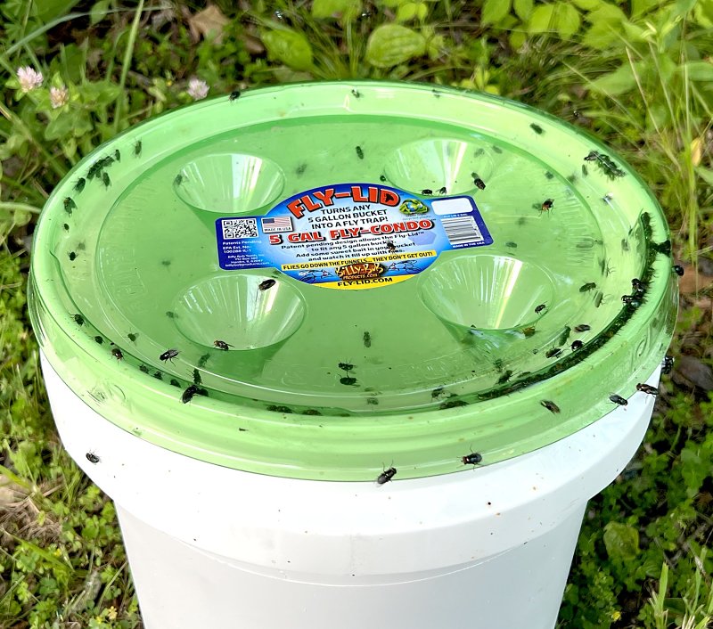 Billy Bob Products FLY LID Fly-Condo 41077 Fly Trap