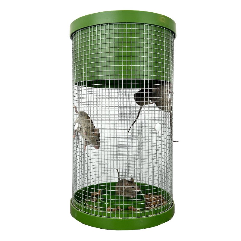 TRAP MOUSE MULTI CATCH