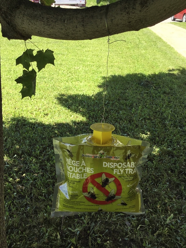 Superior 1554 Disposable Fly Trap Bag
