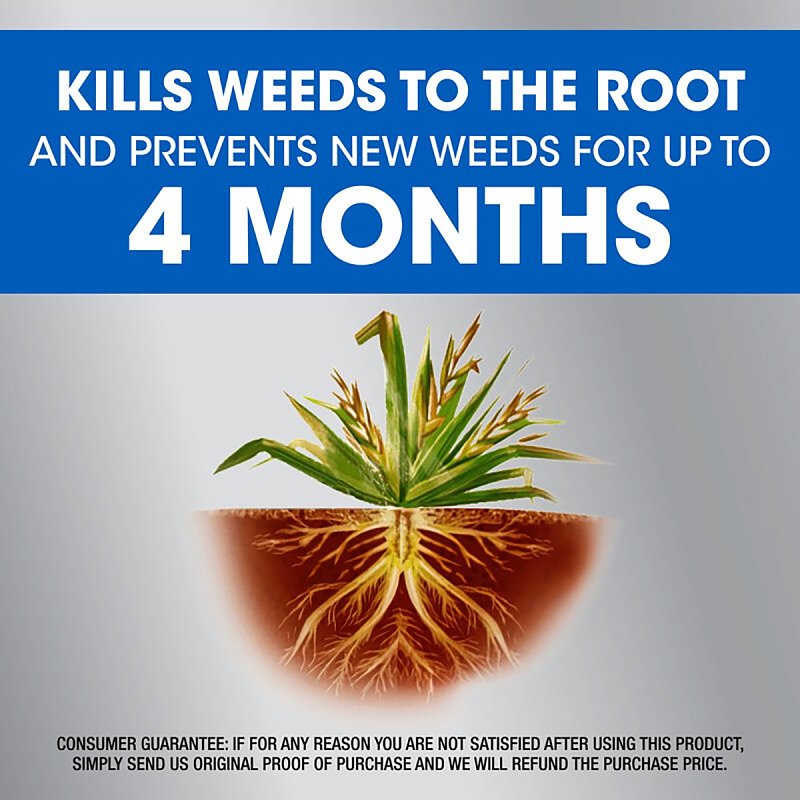 Roundup 5324504 Dual Action Weed and Grass Killer, Liquid, Trigger Spray Application, 1 gal