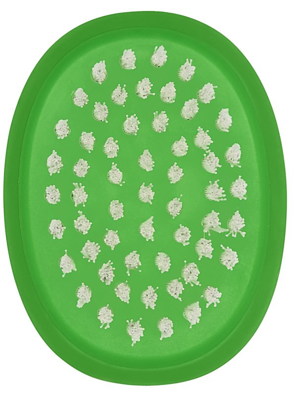 Good Grips 33781 Vegetable Brush, 3.3 in OAL, Nylon Trim, Non-Slip Grip Handle, Nylon Handle