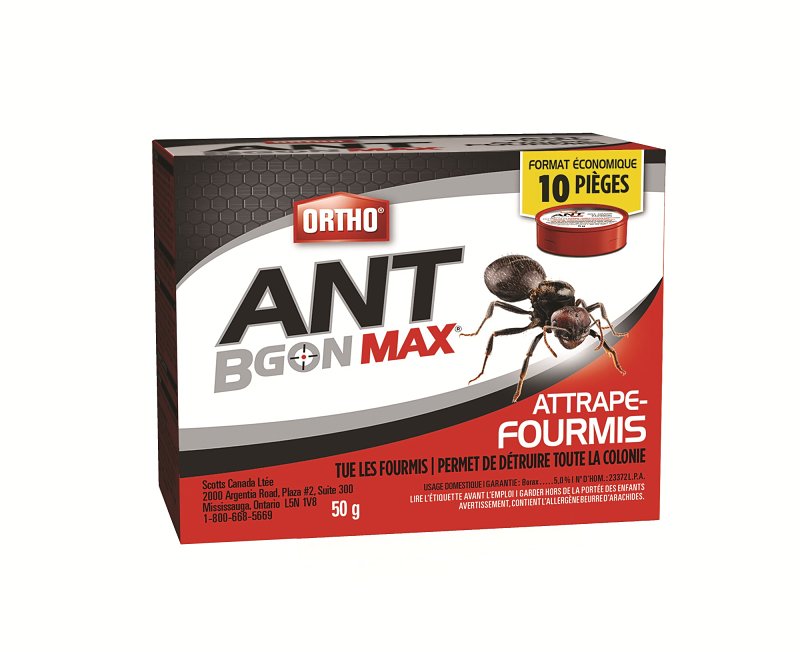 Ortho 189810 Ant Trap