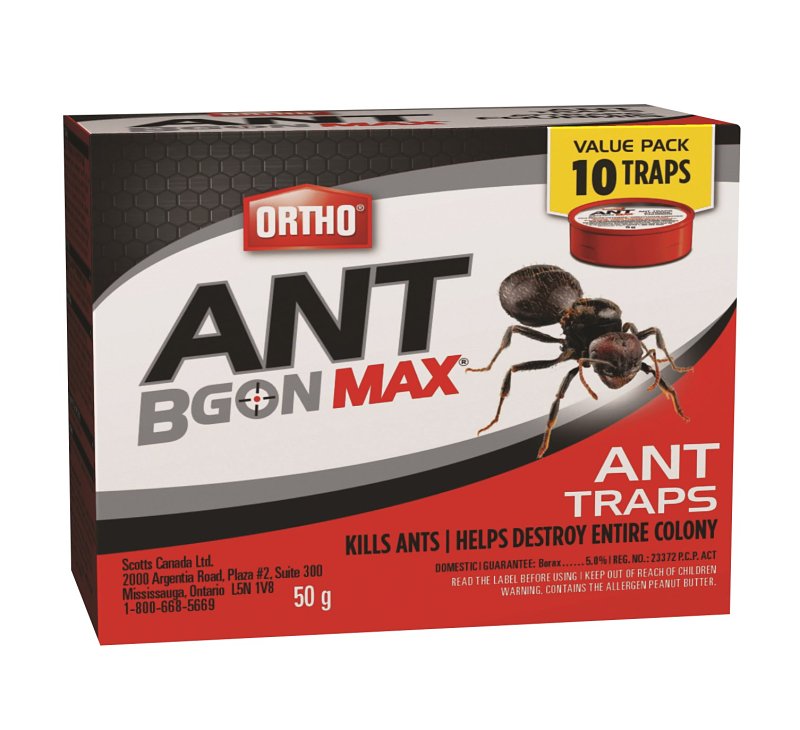 TRAP ANT INDOOR/OUTDOOR