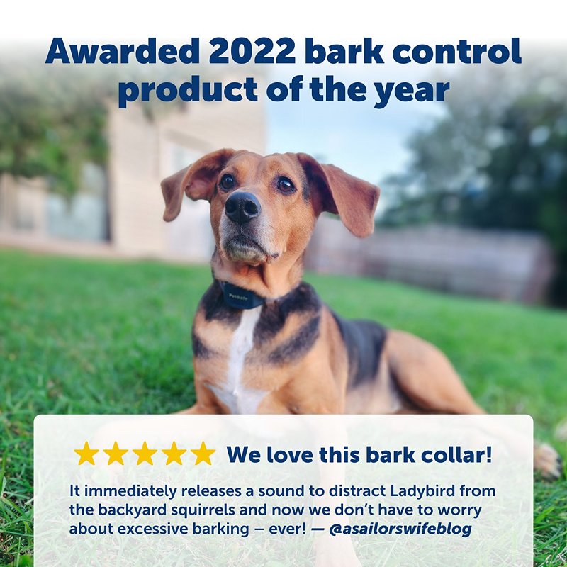 PetSafe PBC00-17281 Audible Bark Collar