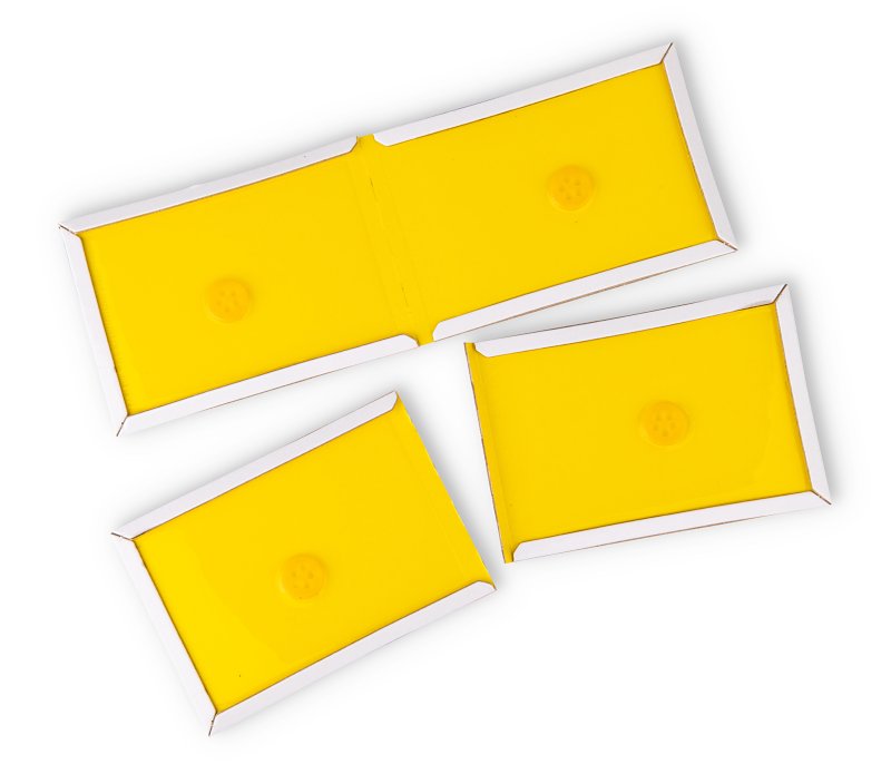J.T. Eaton STICK-EM 154 Mini Mighty Glue Board