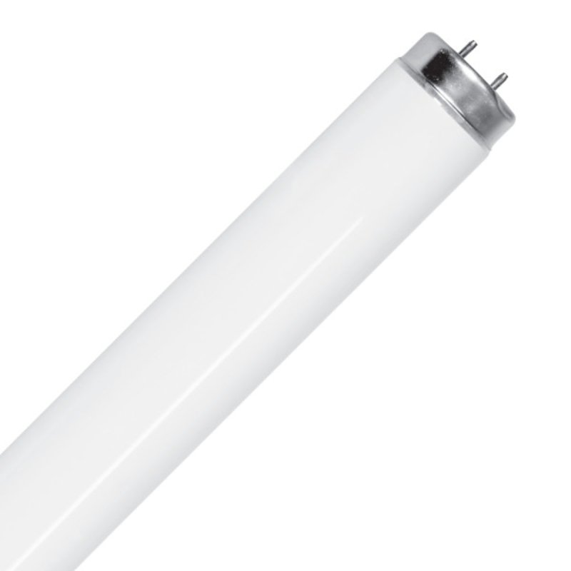 Feit Electric F40CWX/2 Fluorescent Bulb, 40 W, T12 Lamp, G13 Lamp Base, 2600 Lumens, 4100 K Color Temp