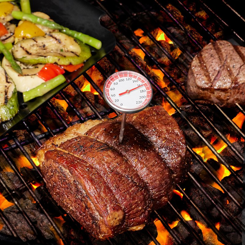 Mr. BAR-B-Q 40293Y Meat Thermometer, 0 to 220 deg F, Analog Display, 2-3/4 in L Probe, Silver