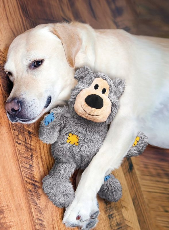 Kong Wild Knots NKR3 Dog Toy, M/S, Bear, Assorted