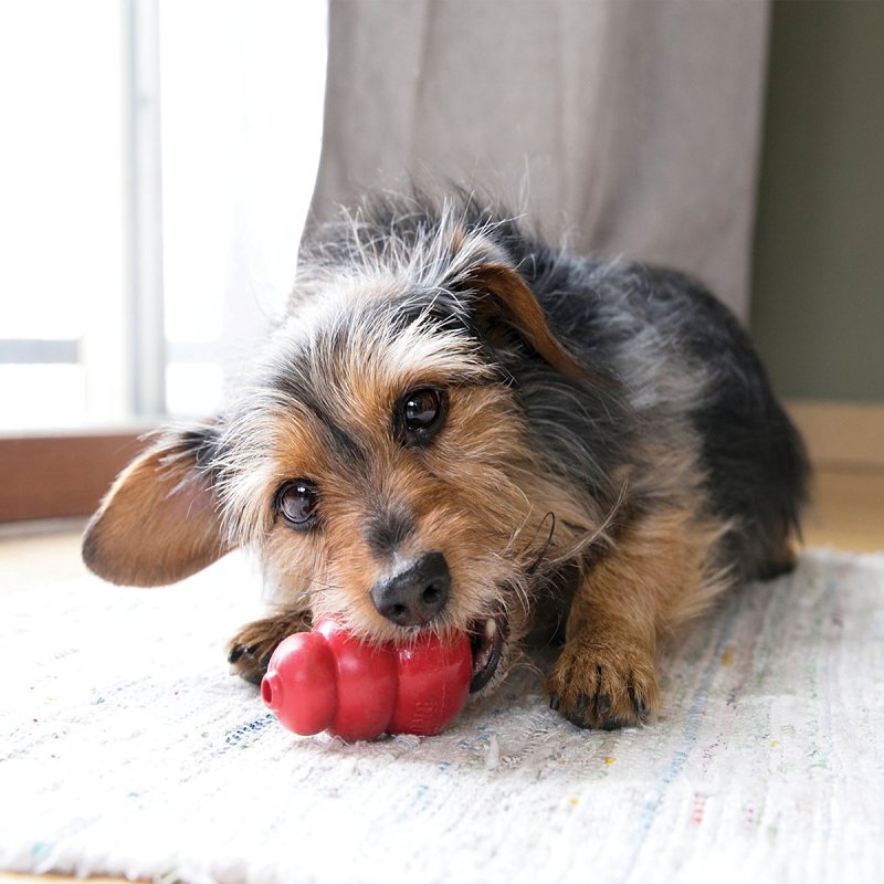 Kong Classic T3 Dog Toy, S, Rubber, Red
