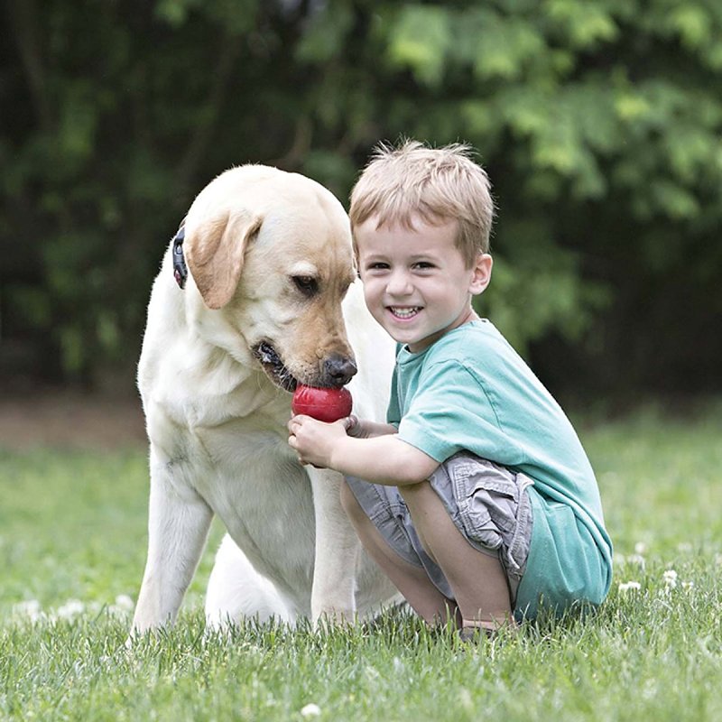 Kong Classic T3 Dog Toy, S, Rubber, Red