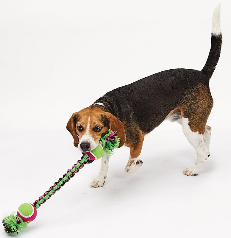 Pet Park Blvd US2056 43 Rope Toy, Double Ball Paracord, Woven, Green